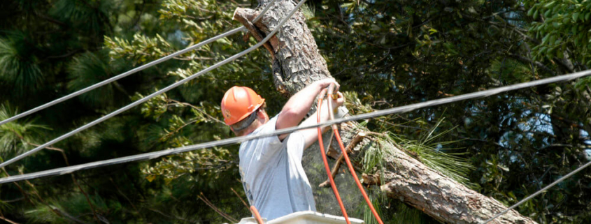 What Safety Protocols Should Linemen Follow During Emergency Storm Restoration?